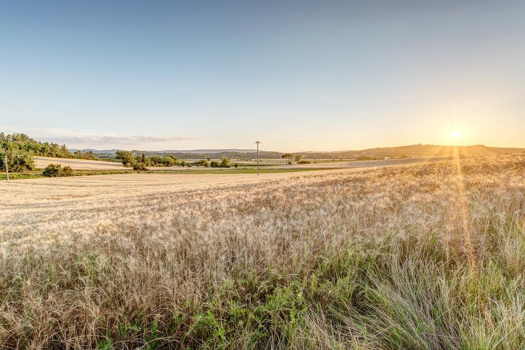Agriturismo Il Poggiarello Foiano Della Chiana Eksteriør bilde