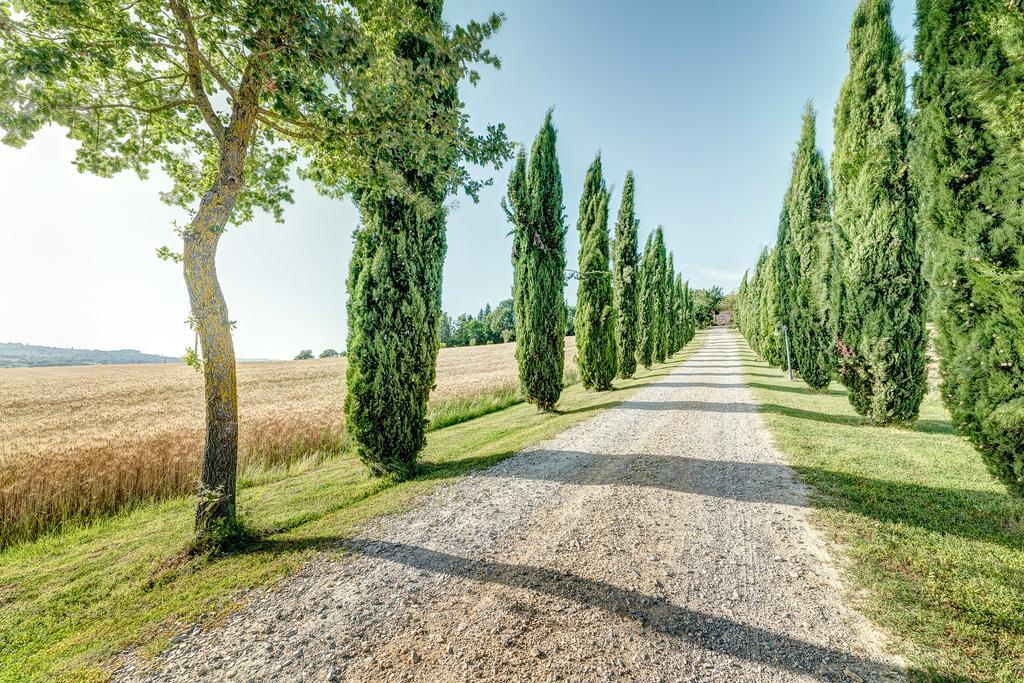 Agriturismo Il Poggiarello Foiano Della Chiana Eksteriør bilde